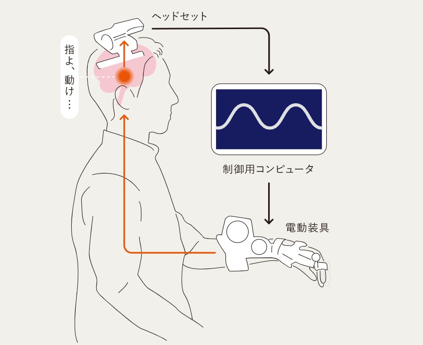 ブレイン・マシン・インターフェース（BMI・BCI）の仕組みと可能性を解説 | 株式会社LIFESCAPES